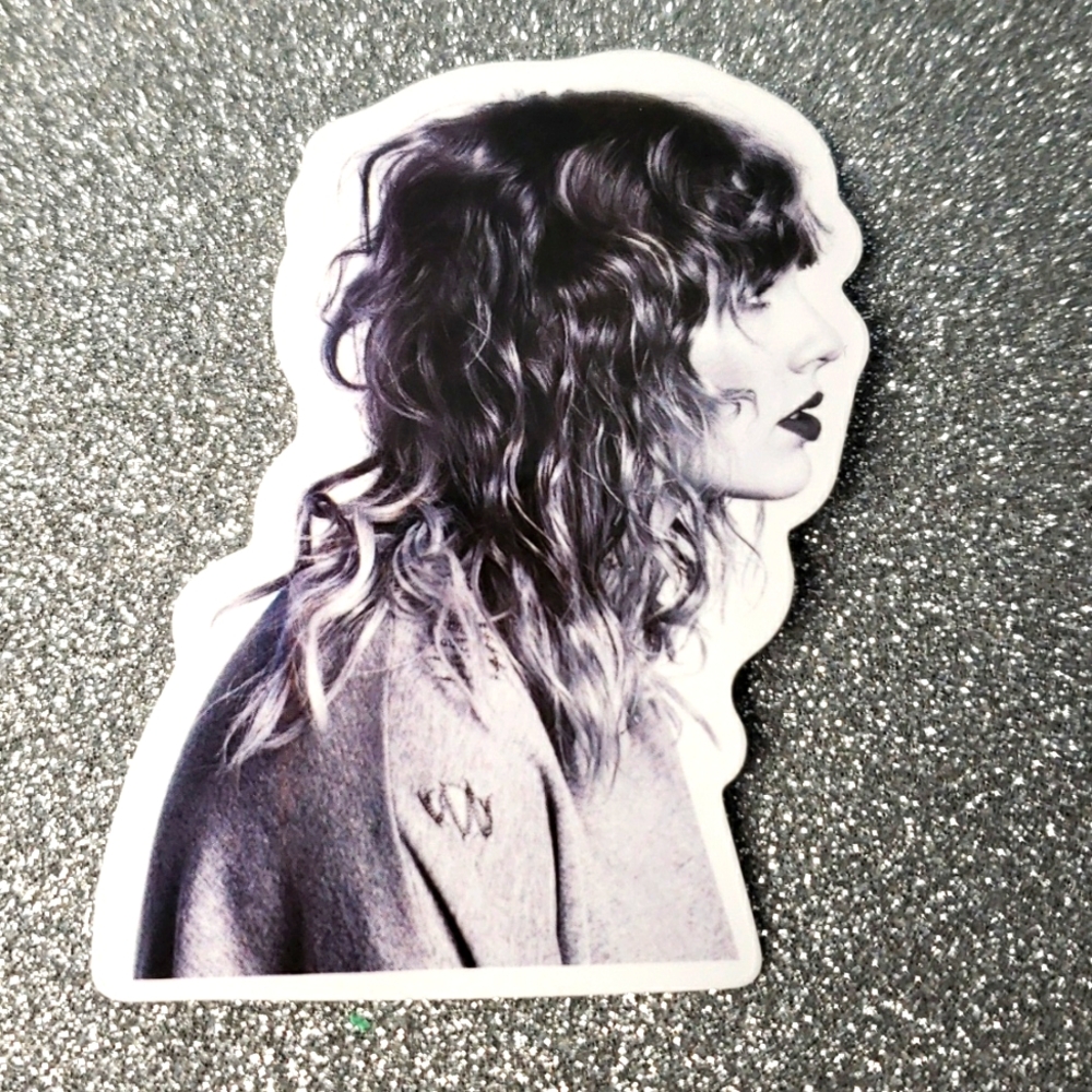 10/$10 Taylor Swift REPUTATION Waterproof Sticker
